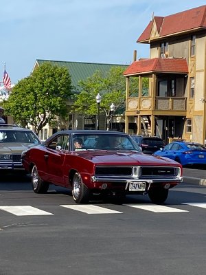 IMG_1303.jpeg