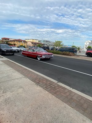 IMG_1334.jpeg