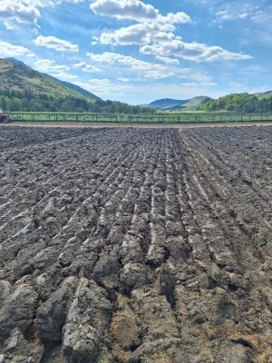 ground very hard.jpg