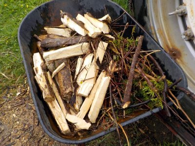6 Branches Stump Pieces Sized To Slide Through ABS.jpg