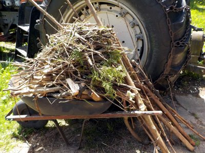1 Branches And Stump Pieces Prestaged For Chipping.jpg
