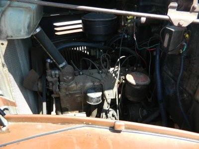 DSCN6698.JPG