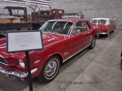IMG_20250630_113626414_HDR.jpg