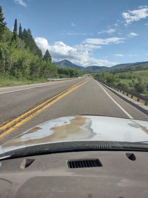 IMG_20250704_093253519_HDR.jpg