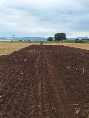 bother with straw 24-7-25.jpg