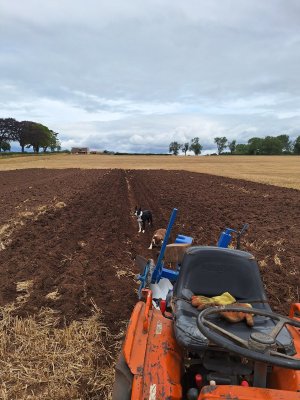 shame about the straw 27-7-25.jpg