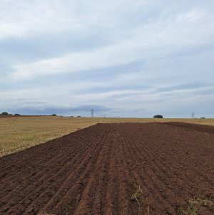 general ploughing.jpg