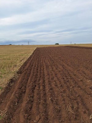 ploughing ok.jpg