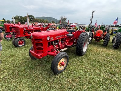 IMG_1951.jpeg