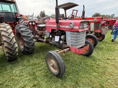 IMG_1967.jpeg