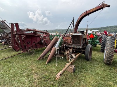 IMG_2261.jpeg