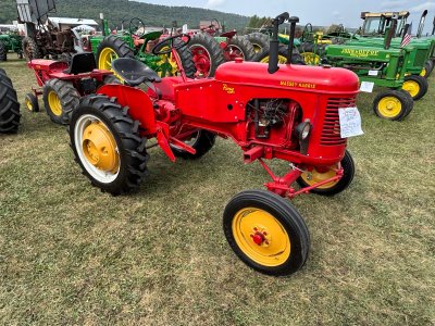 IMG_2287.jpeg