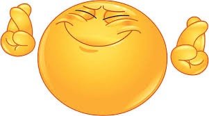 IMG_2304.jpeg