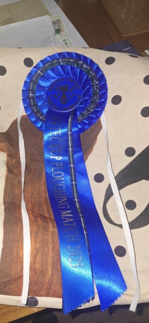 Second for ploughing.jpg